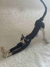 COUNTRY ARTISTS A BREED APART