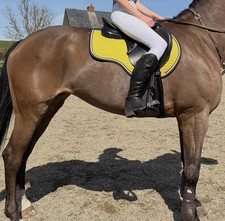 Prestige Black Leather 17”