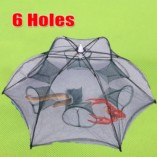 Holes shrimp crab - 6,