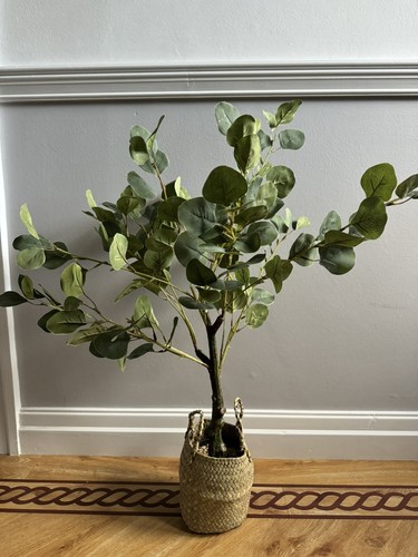 Eucalyptus tree artificial - eucalyptus,
