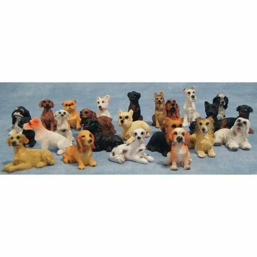 Dog choice doggo s - 24, doggo's