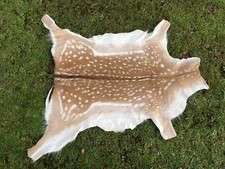 Nice New Real Summer Fallow