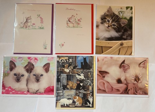 Birthday greetings card cat - card,