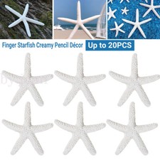 2/20 Finger Starfish Creamy