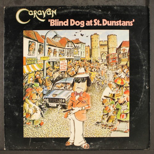 Caravan blind dog st - dog,