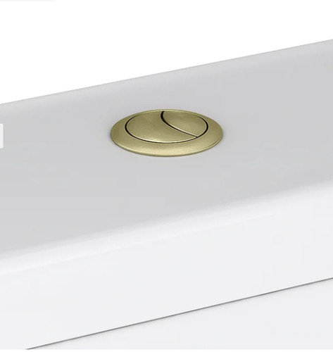 Brushed brass gold toilet - brushed,