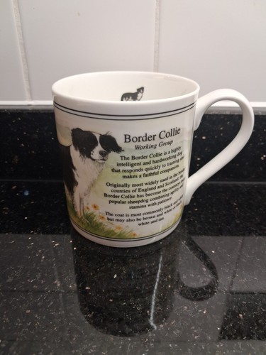 Ashley fine bone china - bone,