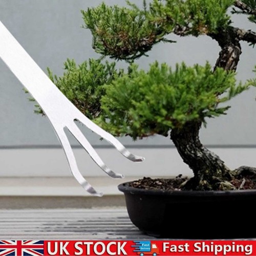 Bonsai tools prong stainless - tools, 3-prong