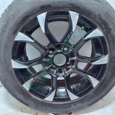 Wolfrace Eurosport Assassin