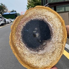 Petrified Wood Slice - Fossil Display Specimen Fossilized Wood - 5.8LB