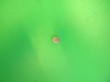 T1131049 SHIM 2.675MM  DIA 9.5