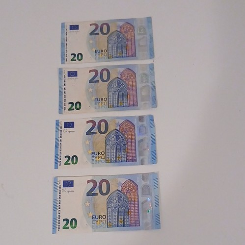 Euro leftover holiday - 80,