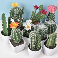 Artificial Cactus Succulent Plant Plastic Fake Flower Bonsai Home Garden Decor