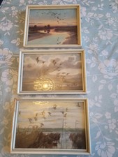 Lot Of 3 Peter Scott Paintings