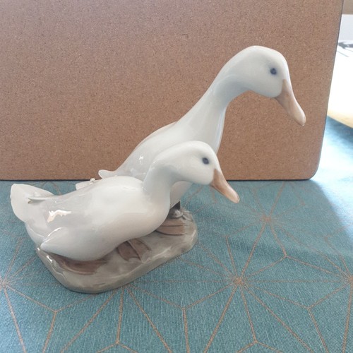Royal copenhagen duck - copenhagen,
