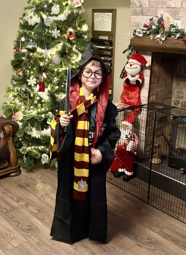 Harry potter gryffindor - potter,