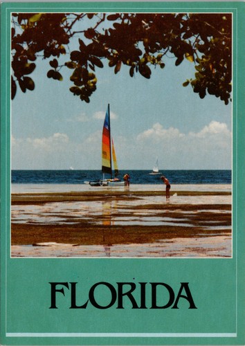 Tampa florida fun in - tampa,,