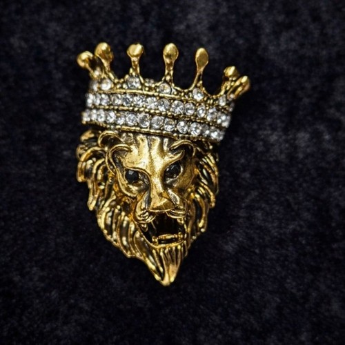 Lion head with rhinestone - lion,