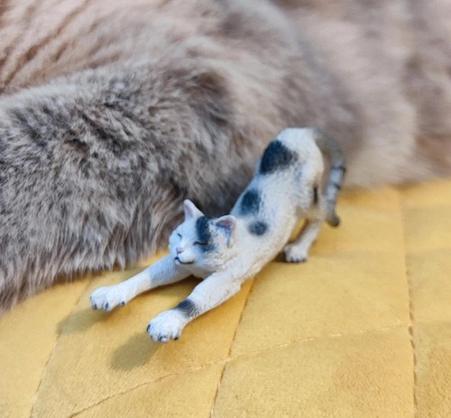Schleich 13677 male cat - schleich,