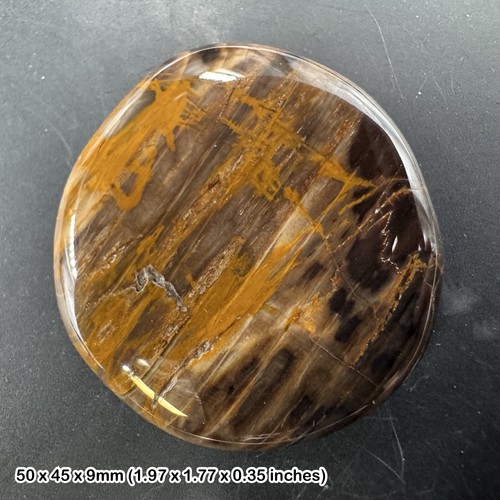 Fossil wood worry stone - fossil,