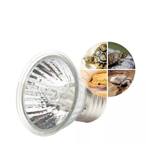 3pc reptile light bulb - reptile, heat