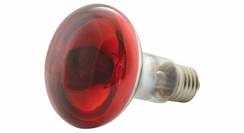 60w r80 coloured - r80,