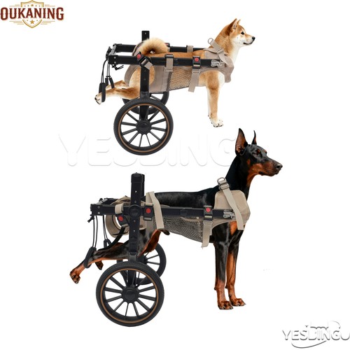 Dog wheelchair for back - dog,