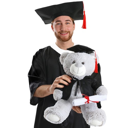 University graduation bear - graduation,