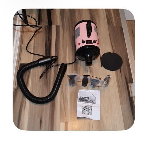 Dog pet grooming - pet, dryer