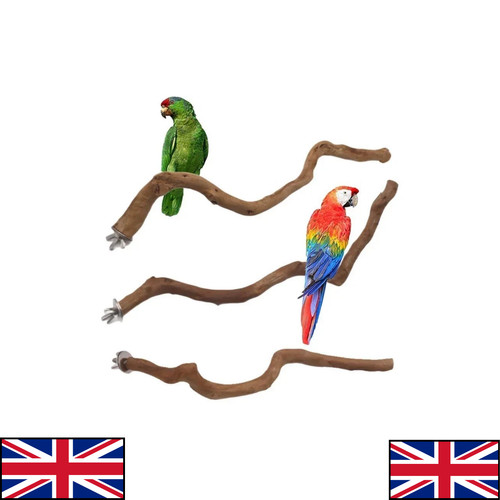 Parrot stand natural bird - natural,