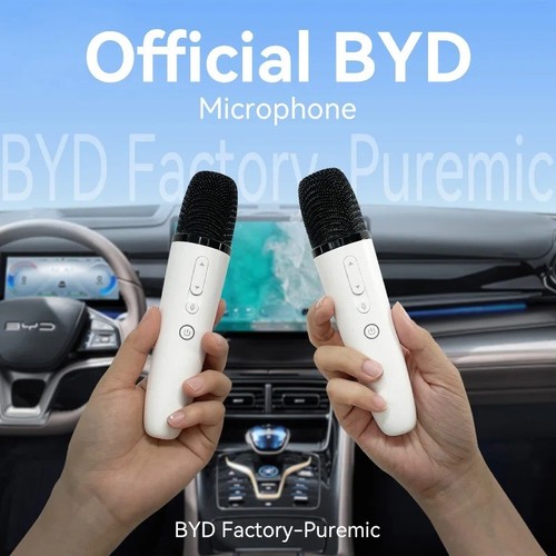 Karaoke microphone wireless - microphone,