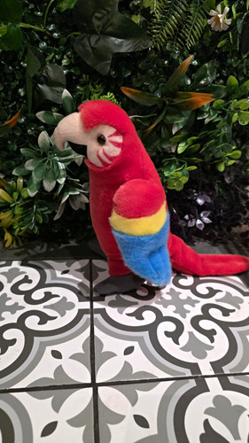Rainforest red parrot macaw - red, parrot/macaw