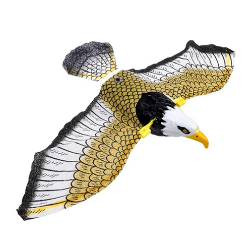 Falcon flying bird - falcon,, as