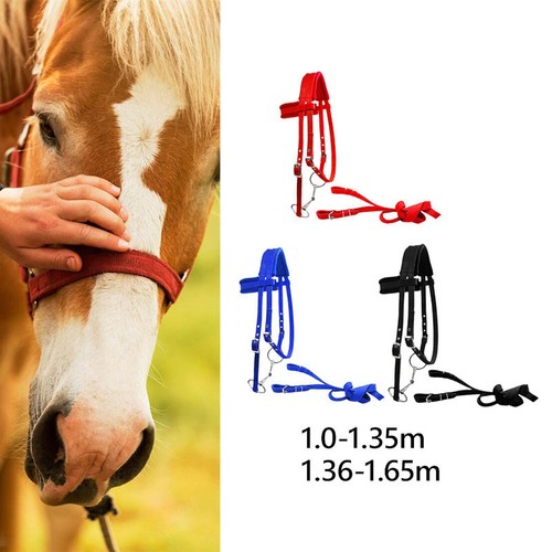 Horse bridle with rein - bridle,