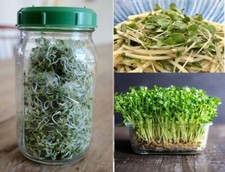 Organic Seeds for Sprouting |