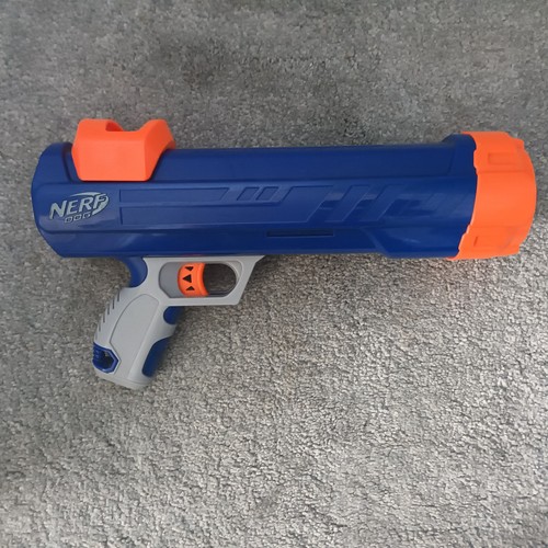 Nerf dog tennis - dog,