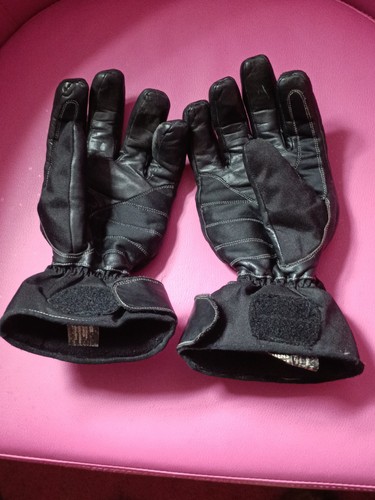 Frank thomas motorcycle - thomas, gloves
