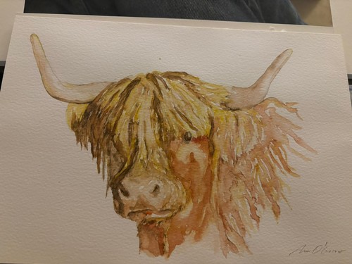 Highland cow original - cow,