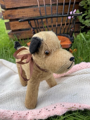 Teddy bear old - bear,