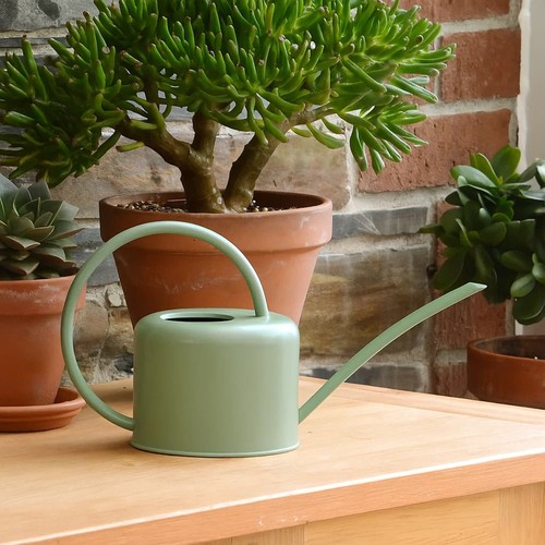Indoor green coloured watering - indoor,
