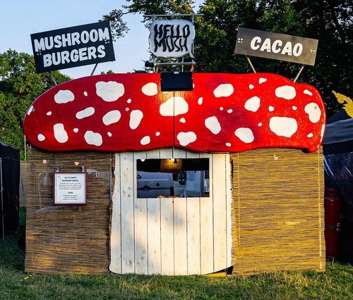 Giant mushroom festival - giant,