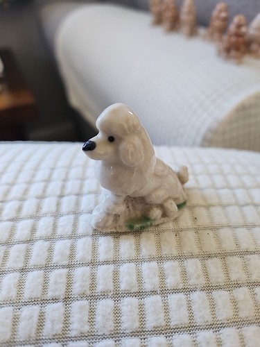 Wade whimsie poodle - wade, poodle.