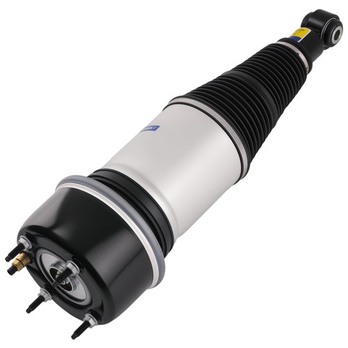 Rear air suspension shock - rear,