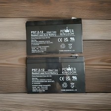 Power Kingdom Battery Sealed