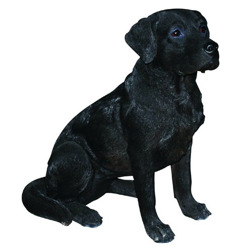 Vivid arts real life black - vivid,