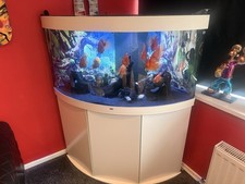 Juwel Trigon 350 Aquarium &