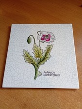 Collectable PAPAVER SOMNIFERUM