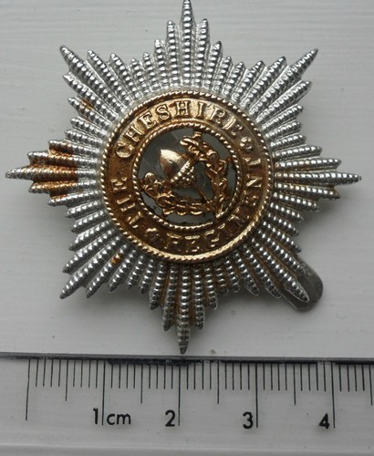 The cheshire regiment - the,