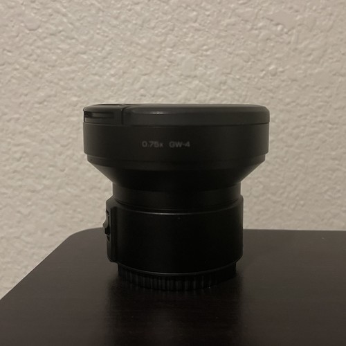 Ricoh and 4 0 - gr, gw