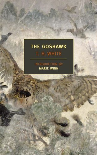 The goshawk h white - t., h.